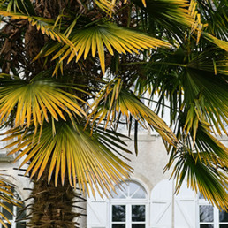 abel Pierre, agence immobilière, façade château