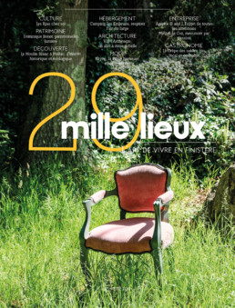 Couverture 29 mille lieux 5, été 2018, fauteuil dans la nature